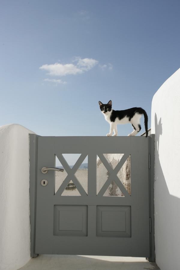 White Suite Ia Exterior foto